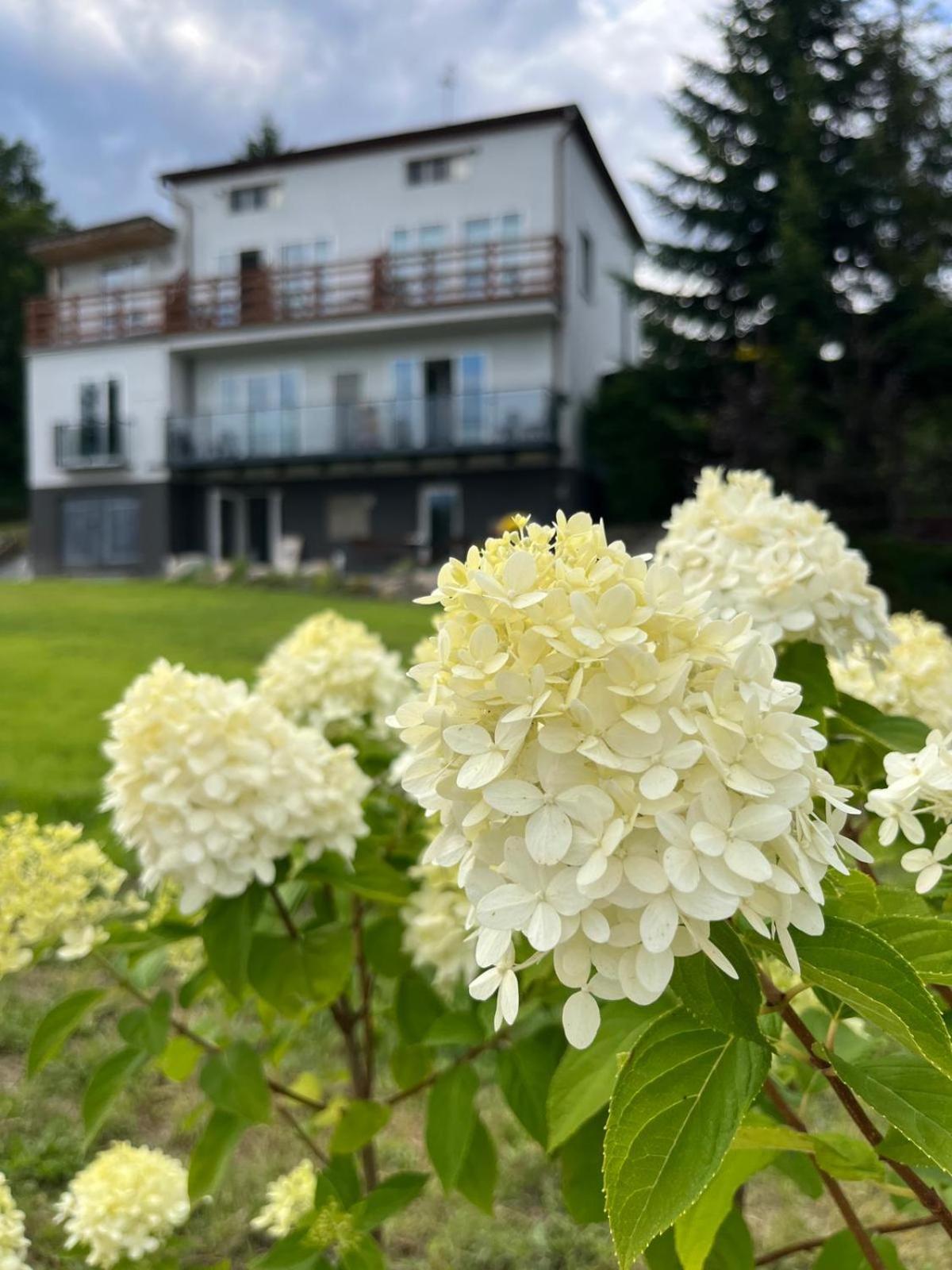 Przystan Radunska Daire Chmielno Dış mekan fotoğraf